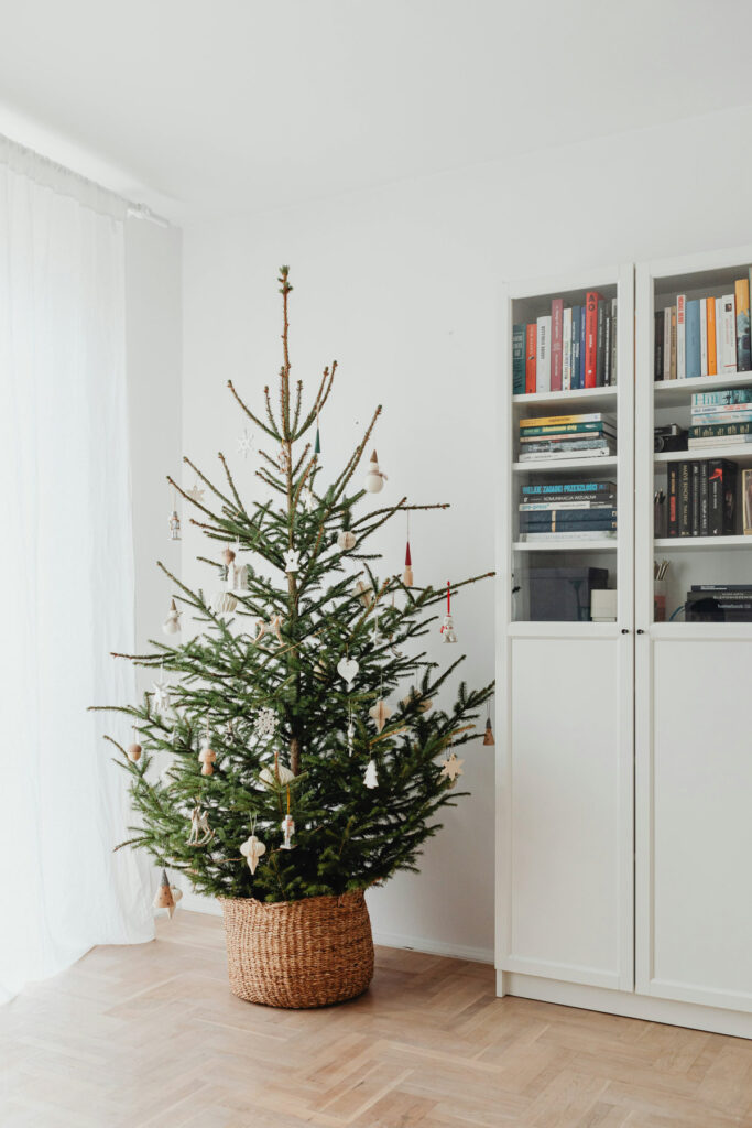 How to pick the best live Christmas tree for your home—a full guide