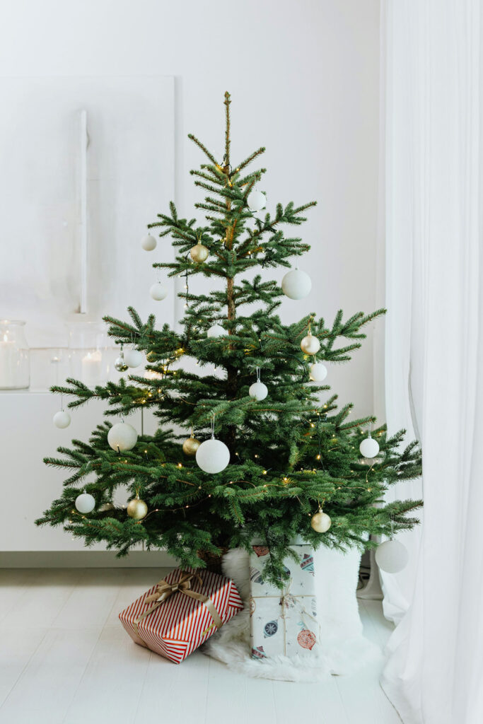 Christmas Tree Guide: best-smelling, fullest and sturdiest—we compare the most popular live trees to help you pick one.