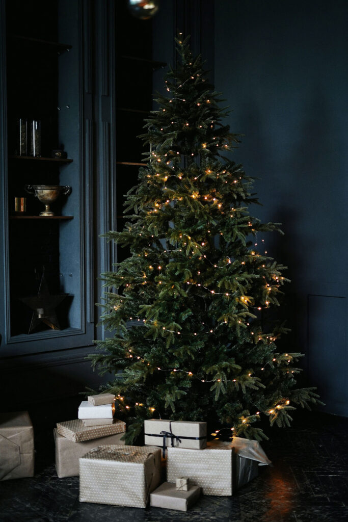 Live Christmas Tree Guide: How to pick the best REAL Christmas tree type for your house!